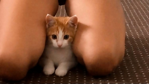 cute free vids